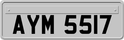 AYM5517