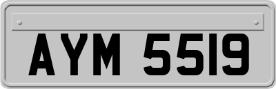 AYM5519
