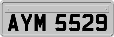 AYM5529