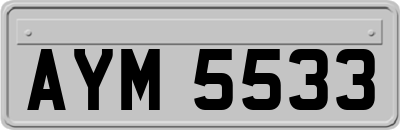 AYM5533
