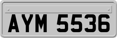 AYM5536