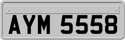AYM5558