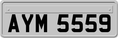 AYM5559