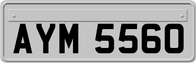 AYM5560