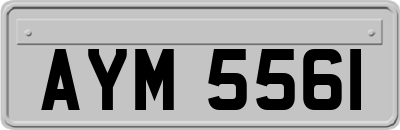 AYM5561