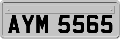 AYM5565