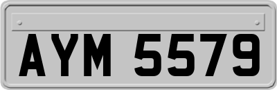 AYM5579
