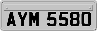 AYM5580