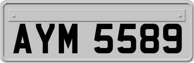 AYM5589