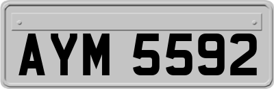AYM5592
