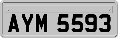 AYM5593