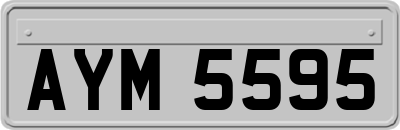 AYM5595