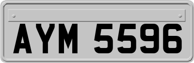 AYM5596
