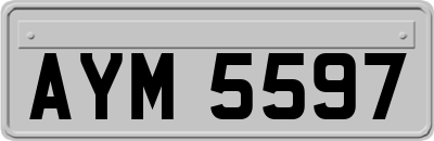 AYM5597