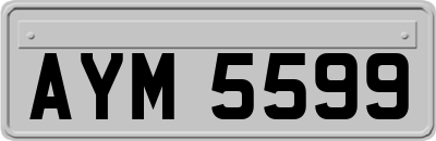AYM5599