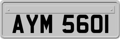 AYM5601