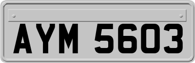 AYM5603
