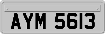 AYM5613