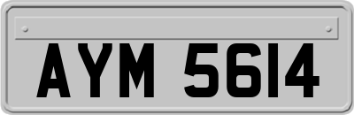 AYM5614