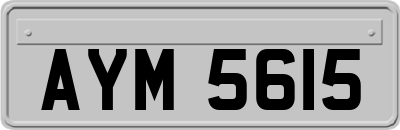 AYM5615