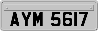 AYM5617