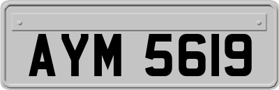 AYM5619