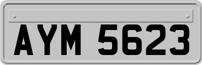 AYM5623