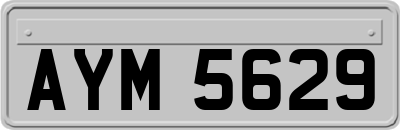 AYM5629