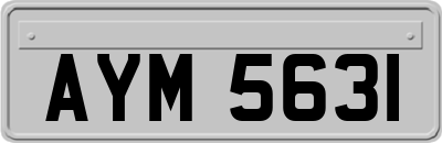 AYM5631