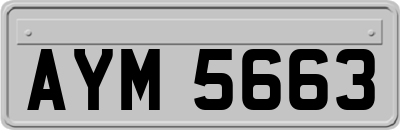 AYM5663