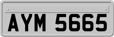 AYM5665