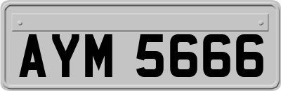 AYM5666