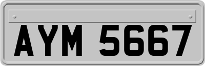 AYM5667