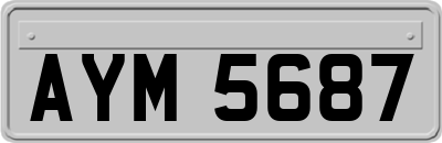 AYM5687