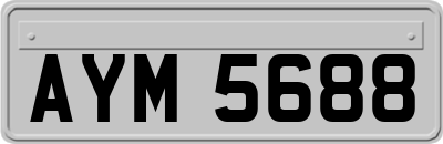 AYM5688
