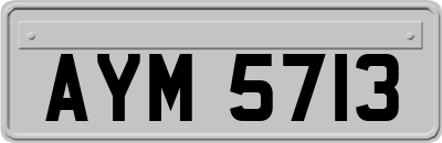 AYM5713