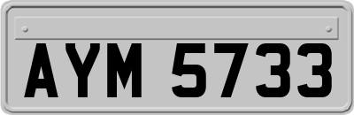AYM5733
