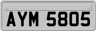 AYM5805