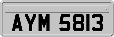 AYM5813