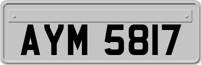 AYM5817
