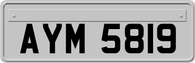 AYM5819