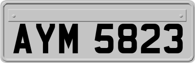 AYM5823