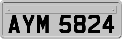 AYM5824