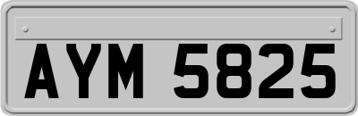 AYM5825