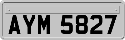 AYM5827