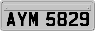 AYM5829