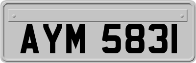 AYM5831