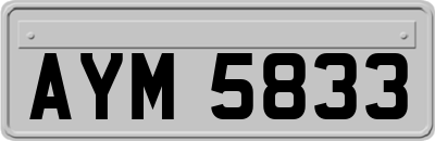 AYM5833