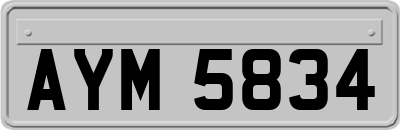 AYM5834