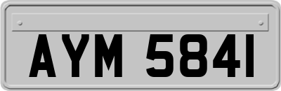 AYM5841